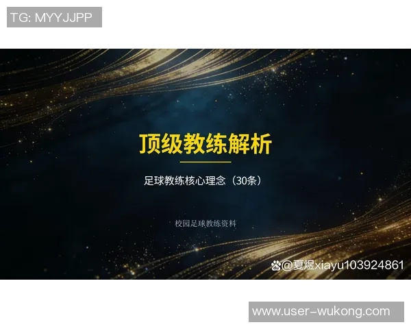 桑塔纳足球教练的执教之路与战术理念探讨