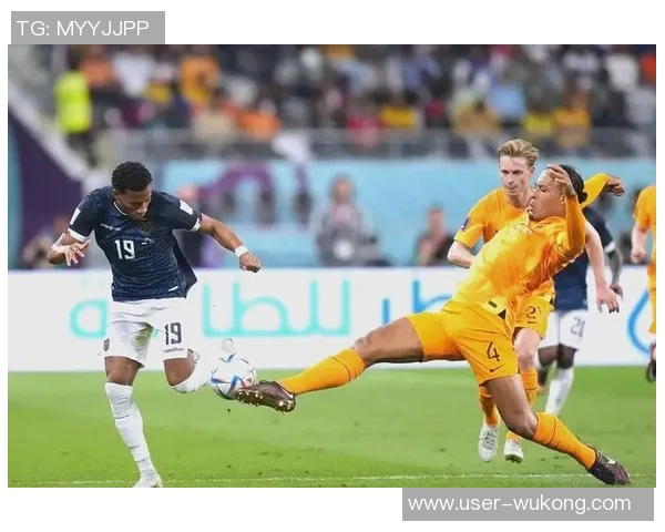 现役荷兰足球队员的崛起与挑战分析及未来展望